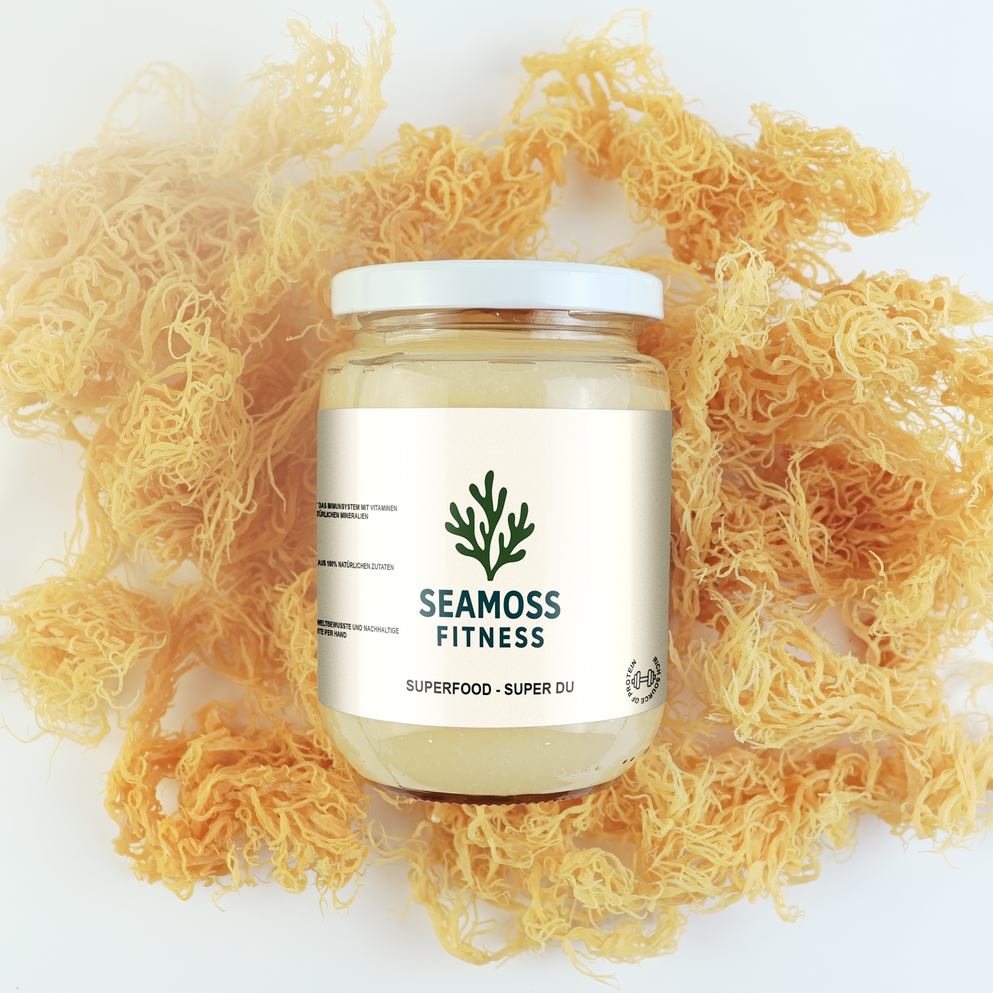 Sea Moss Gel Behälter auf See Moos liegend, See Tang, Sea Moss Fitness